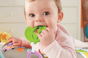 FISHER-PRICE SENSIMALS LAJHÁROS POCAKPÁRNA - GRR01